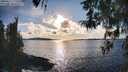./images/koeye/fitz-hugh/20260313/fitz-hugh20260313_174002M.jpg