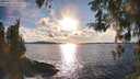 ./images/koeye/fitz-hugh/20260313/fitz-hugh20260313_174501M.jpg