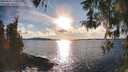 ./images/koeye/fitz-hugh/20260313/fitz-hugh20260313_175001M.jpg