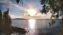 ./images/koeye/fitz-hugh/20260313/fitz-hugh20260313_175501M.jpg