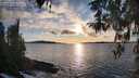 ./images/koeye/fitz-hugh/20260313/fitz-hugh20260313_182501M.jpg