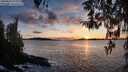 ./images/koeye/fitz-hugh/20260313/fitz-hugh20260313_192002M.jpg