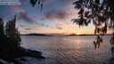 ./images/koeye/fitz-hugh/20260313/fitz-hugh20260313_192501M.jpg
