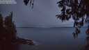 ./images/koeye/fitz-hugh/20260314/fitz-hugh20260314_071501M.jpg