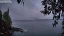 ./images/koeye/fitz-hugh/20260314/fitz-hugh20260314_072502M.jpg