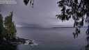 ./images/koeye/fitz-hugh/20260314/fitz-hugh20260314_074001M.jpg
