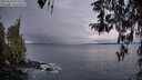 ./images/koeye/fitz-hugh/20260314/fitz-hugh20260314_074502M.jpg