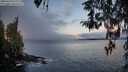 ./images/koeye/fitz-hugh/20260314/fitz-hugh20260314_080001M.jpg