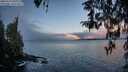 ./images/koeye/fitz-hugh/20260314/fitz-hugh20260314_081001M.jpg