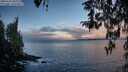 ./images/koeye/fitz-hugh/20260314/fitz-hugh20260314_082001M.jpg