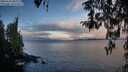 ./images/koeye/fitz-hugh/20260314/fitz-hugh20260314_082501M.jpg
