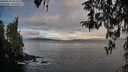 ./images/koeye/fitz-hugh/20260314/fitz-hugh20260314_083501M.jpg
