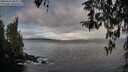 ./images/koeye/fitz-hugh/20260314/fitz-hugh20260314_084002M.jpg