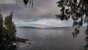 ./images/koeye/fitz-hugh/20260314/fitz-hugh20260314_085501M.jpg