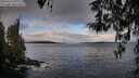 ./images/koeye/fitz-hugh/20260314/fitz-hugh20260314_091001M.jpg