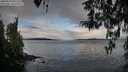 ./images/koeye/fitz-hugh/20260314/fitz-hugh20260314_091501M.jpg