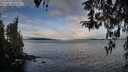 ./images/koeye/fitz-hugh/20260314/fitz-hugh20260314_092501M.jpg