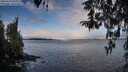 ./images/koeye/fitz-hugh/20260314/fitz-hugh20260314_093001M.jpg