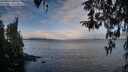 ./images/koeye/fitz-hugh/20260314/fitz-hugh20260314_093501M.jpg