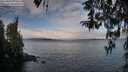 ./images/koeye/fitz-hugh/20260314/fitz-hugh20260314_094501M.jpg