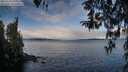 ./images/koeye/fitz-hugh/20260314/fitz-hugh20260314_095001M.jpg