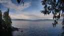 ./images/koeye/fitz-hugh/20260314/fitz-hugh20260314_095502M.jpg