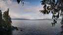 ./images/koeye/fitz-hugh/20260314/fitz-hugh20260314_101502M.jpg
