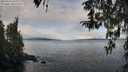 ./images/koeye/fitz-hugh/20260314/fitz-hugh20260314_102002M.jpg