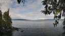 ./images/koeye/fitz-hugh/20260314/fitz-hugh20260314_102501M.jpg