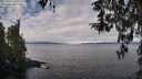 ./images/koeye/fitz-hugh/20260314/fitz-hugh20260314_104501M.jpg