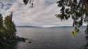 ./images/koeye/fitz-hugh/20260314/fitz-hugh20260314_105001M.jpg