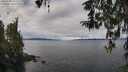 ./images/koeye/fitz-hugh/20260314/fitz-hugh20260314_105502M.jpg