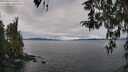 ./images/koeye/fitz-hugh/20260314/fitz-hugh20260314_110002M.jpg