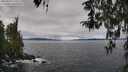 ./images/koeye/fitz-hugh/20260314/fitz-hugh20260314_110501M.jpg