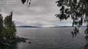 ./images/koeye/fitz-hugh/20260314/fitz-hugh20260314_111001M.jpg