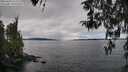 ./images/koeye/fitz-hugh/20260314/fitz-hugh20260314_111501M.jpg