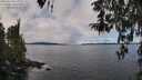 ./images/koeye/fitz-hugh/20260314/fitz-hugh20260314_113001M.jpg