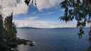./images/koeye/fitz-hugh/20260314/fitz-hugh20260314_123001M.jpg