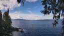 ./images/koeye/fitz-hugh/20260314/fitz-hugh20260314_123501M.jpg