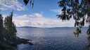 ./images/koeye/fitz-hugh/20260314/fitz-hugh20260314_124502M.jpg