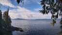 ./images/koeye/fitz-hugh/20260314/fitz-hugh20260314_125001M.jpg