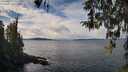 ./images/koeye/fitz-hugh/20260314/fitz-hugh20260314_125501M.jpg