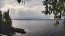 ./images/koeye/fitz-hugh/20260314/fitz-hugh20260314_144501M.jpg