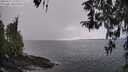 ./images/koeye/fitz-hugh/20260314/fitz-hugh20260314_153501M.jpg