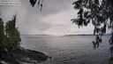 ./images/koeye/fitz-hugh/20260314/fitz-hugh20260314_154501M.jpg
