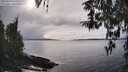 ./images/koeye/fitz-hugh/20260314/fitz-hugh20260314_155501M.jpg
