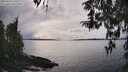 ./images/koeye/fitz-hugh/20260314/fitz-hugh20260314_160501M.jpg