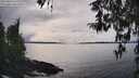 ./images/koeye/fitz-hugh/20260314/fitz-hugh20260314_161001M.jpg