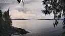 ./images/koeye/fitz-hugh/20260314/fitz-hugh20260314_162001M.jpg
