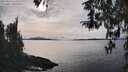 ./images/koeye/fitz-hugh/20260314/fitz-hugh20260314_163001M.jpg
